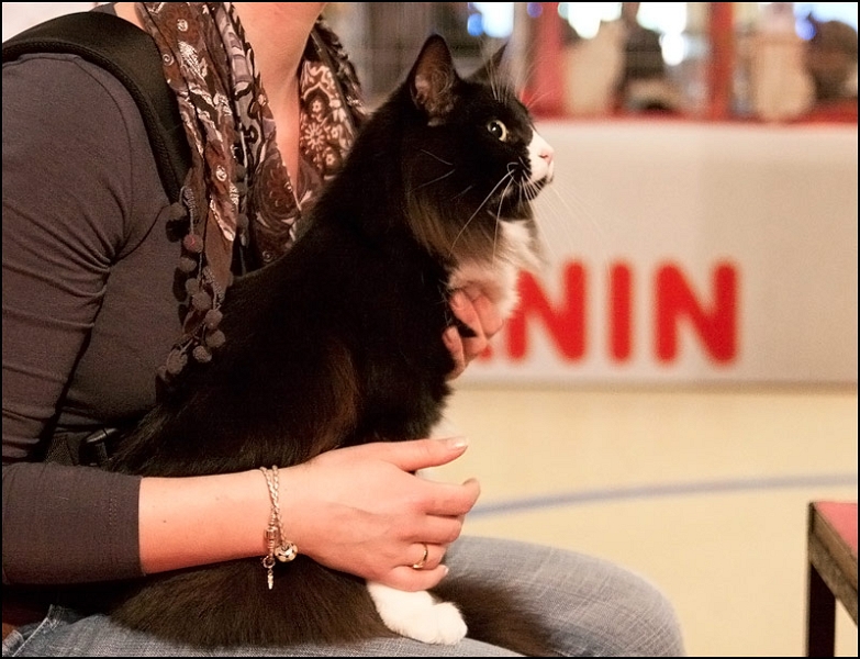 Inconnu 3.jpg - Inconnu